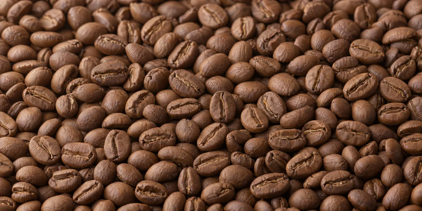 Medium brown roasted coffee beans